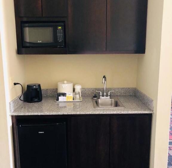 Студио Стандарт Кровать Кинг, Wingate By Wyndham Lake Charles Casino Area