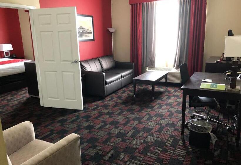 스위트 킹사이즈 침대, Wingate By Wyndham Lake Charles Casino Area