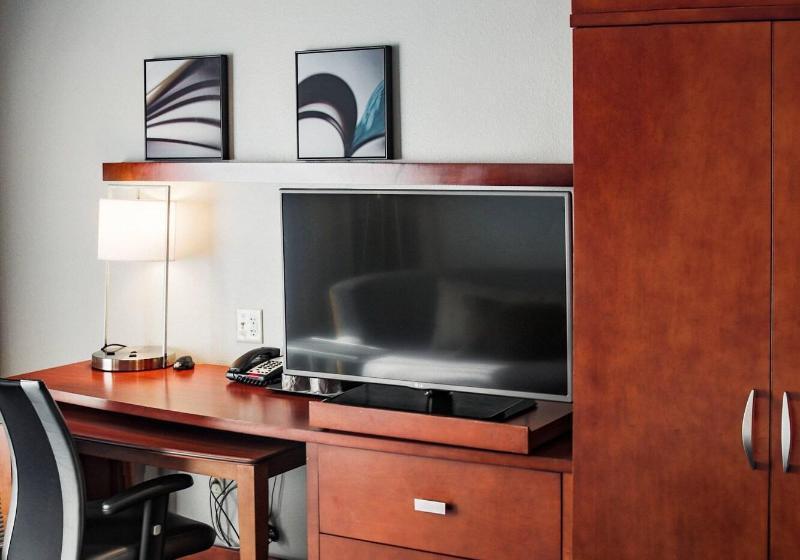 اتاق استاندارد با تخت بزرگ, Courtyard By Marriott Norman