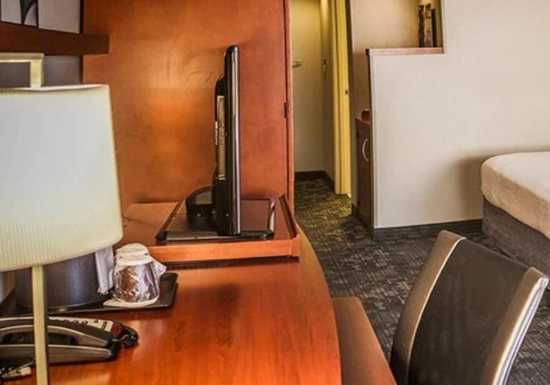 اتاق استاندارد با تخت بزرگ, Courtyard By Marriott Norman