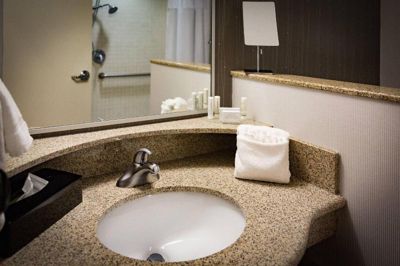 اتاق استاندارد با تخت بزرگ, Courtyard By Marriott Norman