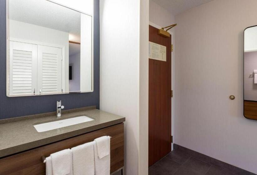 Номер Стандарт, Courtyard Minneapolis St. Paul/roseville