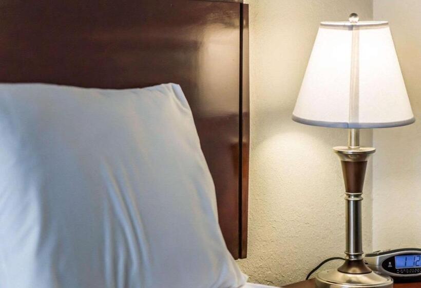 חדר סטנדרט עם מיטת קינג, Econo Lodge