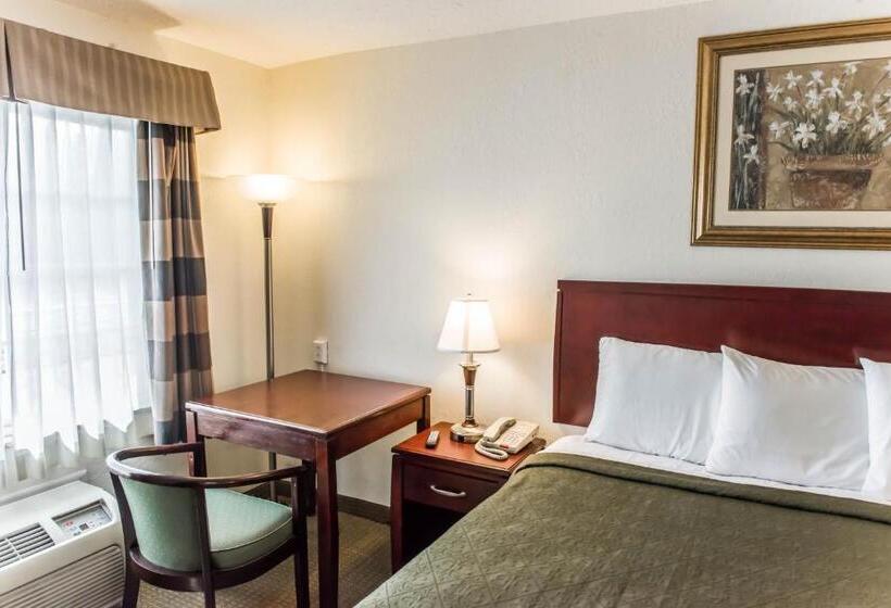 חדר סטנדרט עם מיטת קינג, Econo Lodge