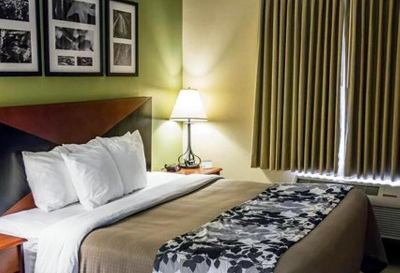 Стандартный Номер Кровать Кинг, Sleep Inn & Suites