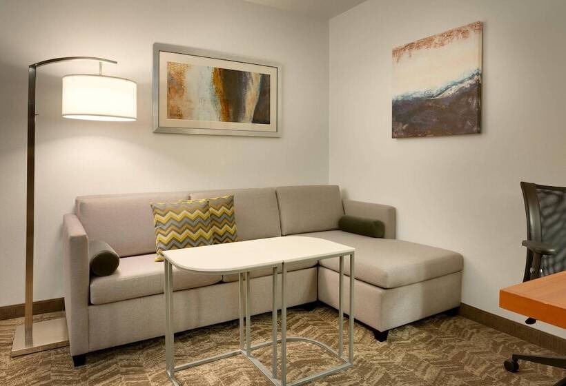 Студия Стандарт, Springhill Suites By Marriott Rexburg
