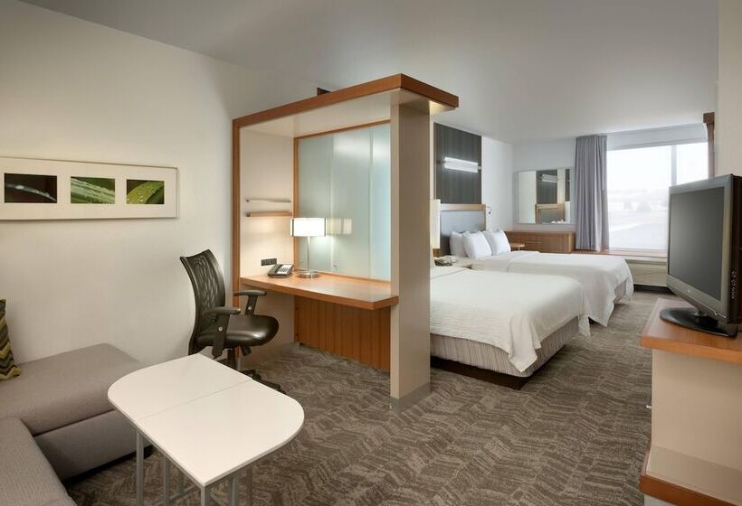 Студия Стандарт, Springhill Suites By Marriott Rexburg
