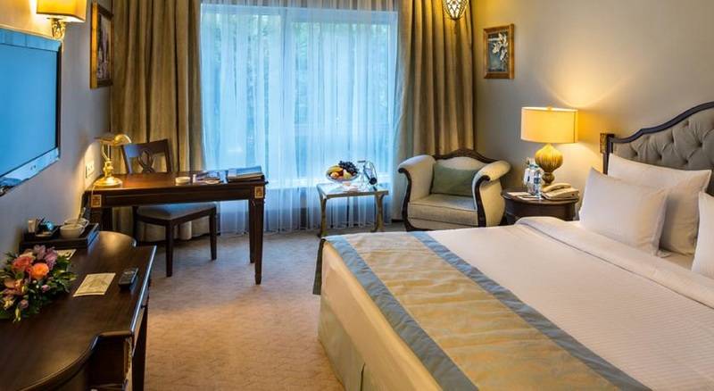 اتاق لوکس با چشم‌انداز شهر, Rixos Almaty