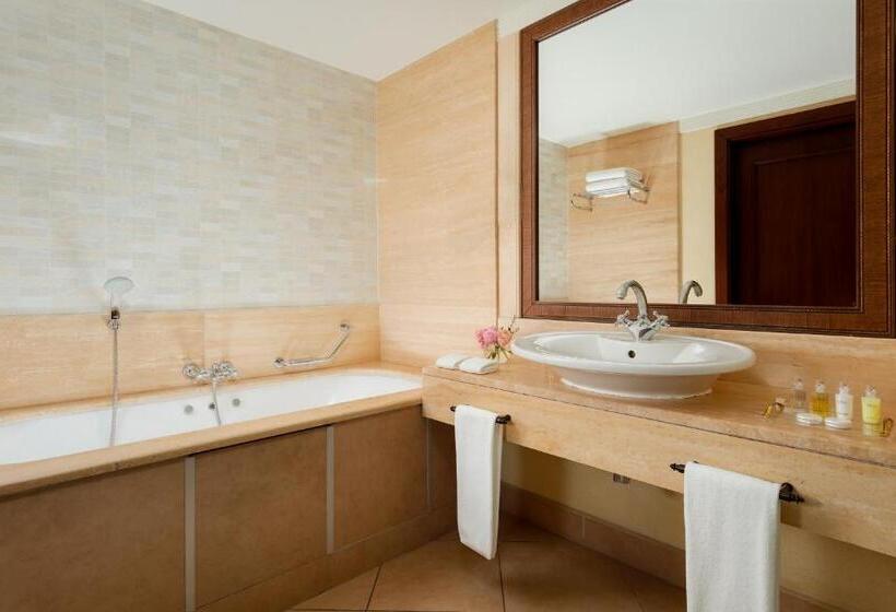 اتاق دلوکس با تخت کینگ و چشم‌انداز شهر, Rixos Almaty