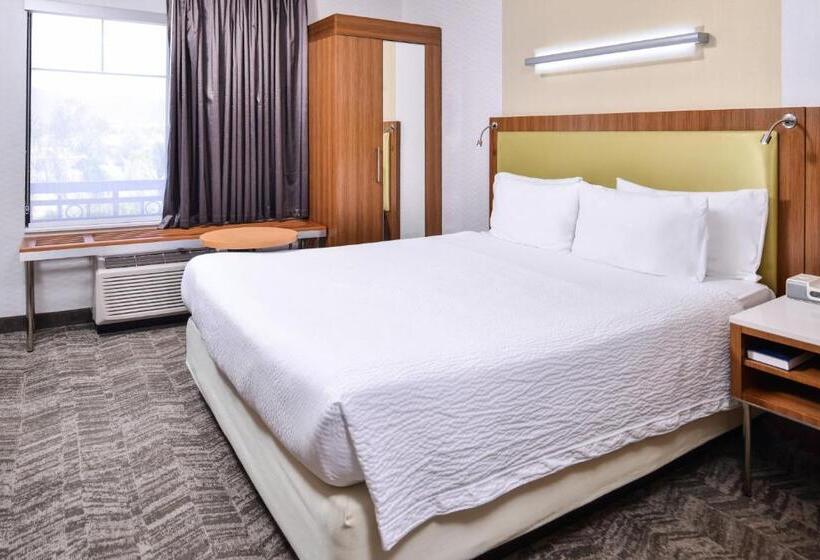 스탠다드 룸 킹사이즈 침대, Springhill Suites Temecula Valley Wine Country