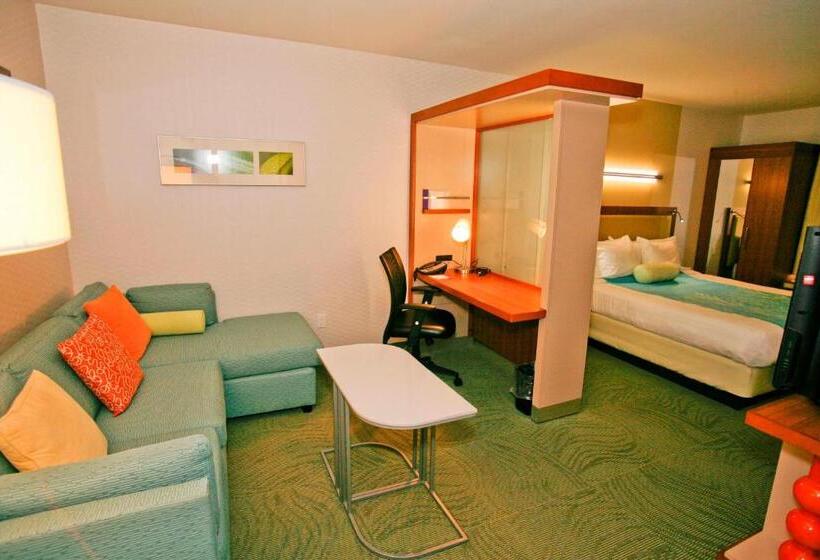 스탠다드 룸 더블 침대 2개, Springhill Suites Temecula Valley Wine Country