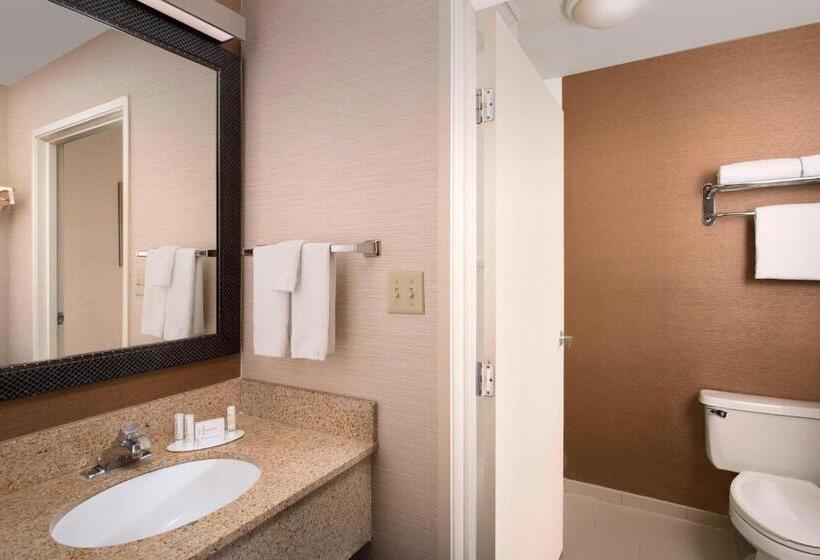 장애인용 디럭스룸, Fairfield Inn & Suites By Marriott Albuquerque Airport