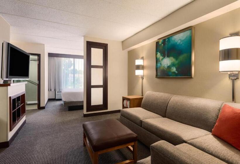스탠다드 룸 킹사이즈 침대, Hyatt Place Baltimore Owings Mills