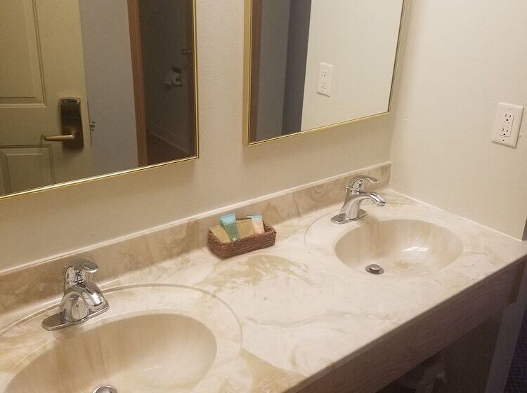 수피리어 룸 산전망, Roosevelt Inn Mount Rushmore