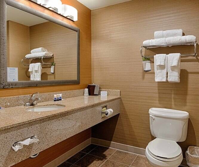 Standardzimmer, Best Western Plus Delta Inn & Suites