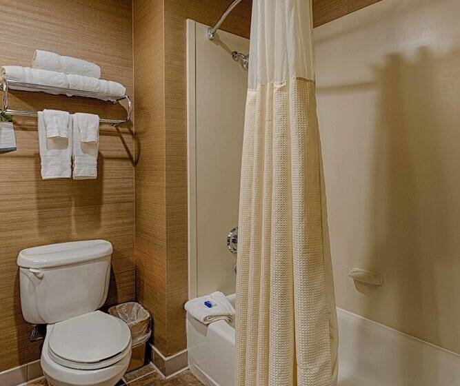 Suite, Best Western Plus Delta Inn & Suites