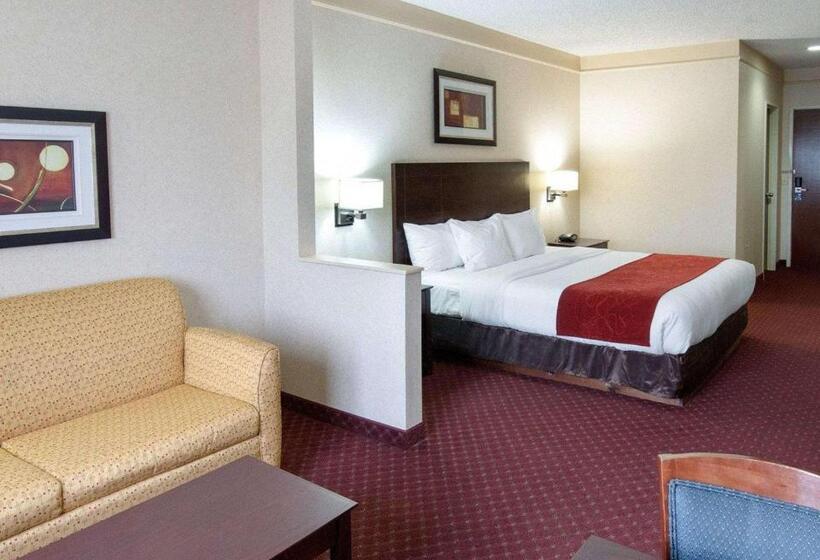 스위트 킹사이즈 침대, Comfort Suites Parkersburg South