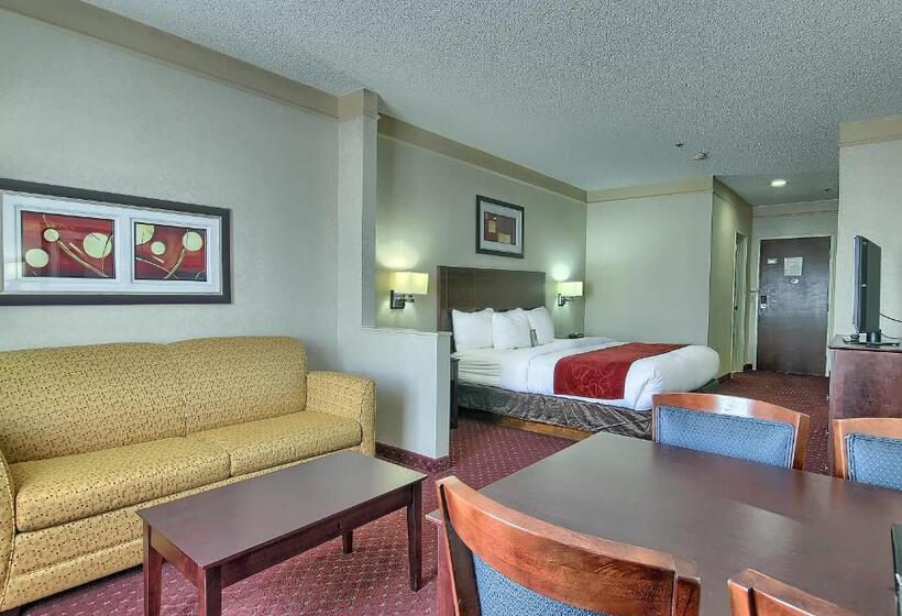 스위트 킹사이즈 침대, Comfort Suites Parkersburg South