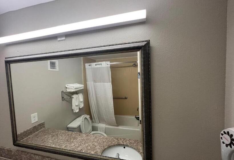 스탠다드 룸 킹사이즈 침대, Days Inn By Wyndham Laplace New Orleans