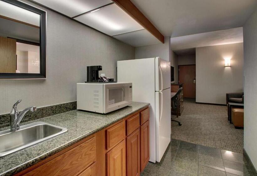 Suite Llit King, Drury Inn & Suites San Antonio Northwest Medical Center