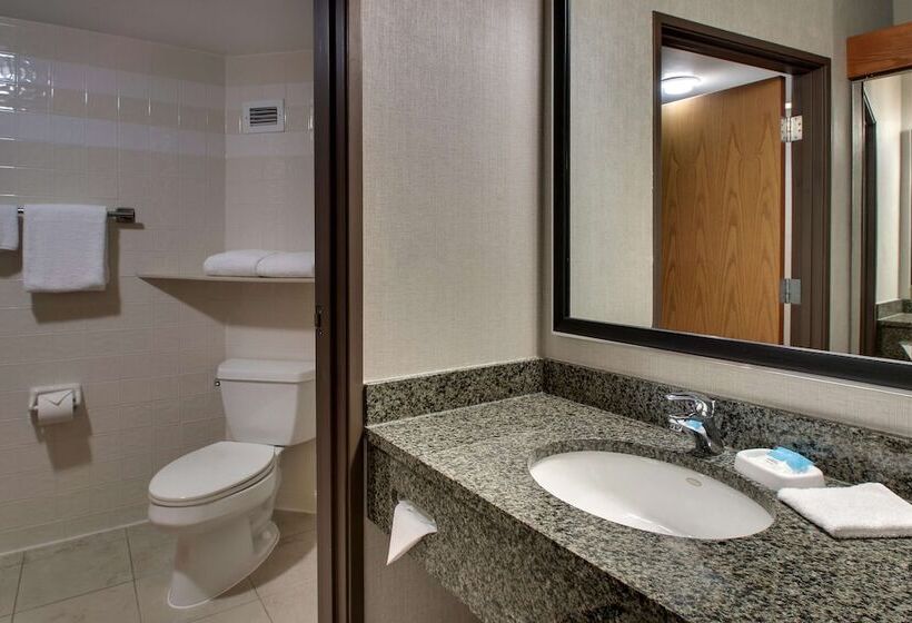 Habitació Deluxe Adaptada per a persones amb mobilitat reduïda, Drury Inn & Suites San Antonio Northwest Medical Center
