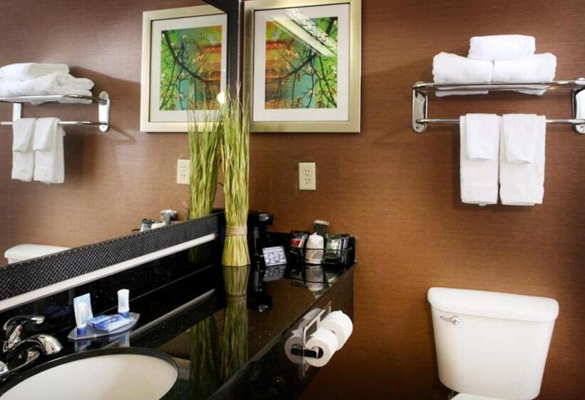 Люкс Кровать Кинг, Fairfield Inn And Suites By Marriott Cincinnati Eastgate