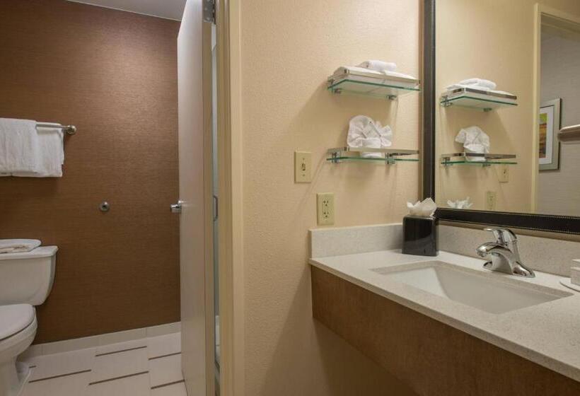 Люкс Кровать Кинг, Fairfield Inn & Suites Dallas Lewisville