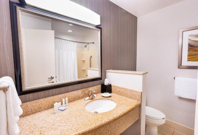 장애인을 위한 킹사이즈 침대 스탠다드 룸, Courtyard By Marriott Kingston