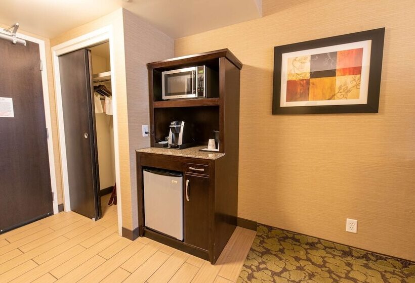 Полулюкс, Hilton Garden Inn Ogden Ut