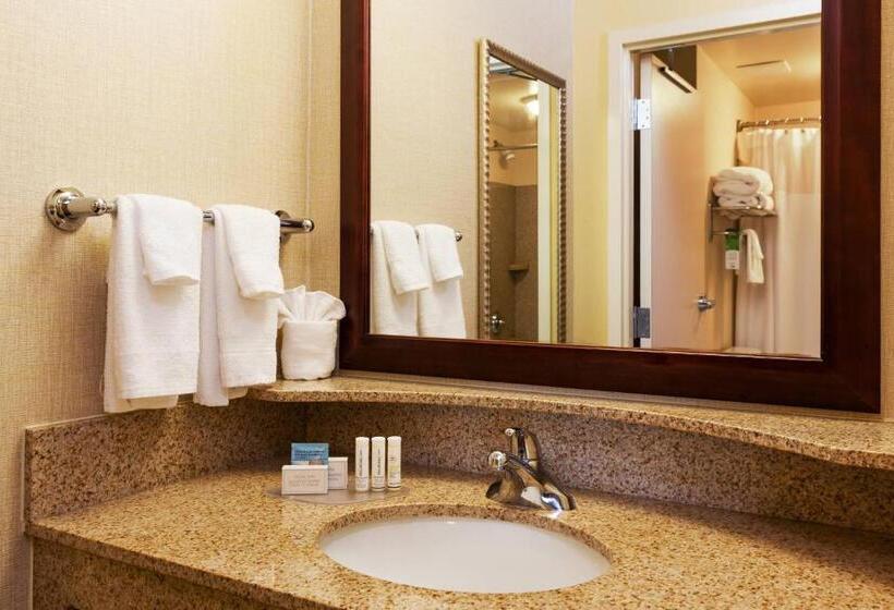 Студия Стандарт Кровать Куин, Springhill Suites Charlotte Lake Norman/mooresville