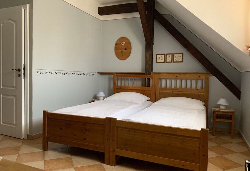 Номер Стандарт, Pension Amadeus & Apartments