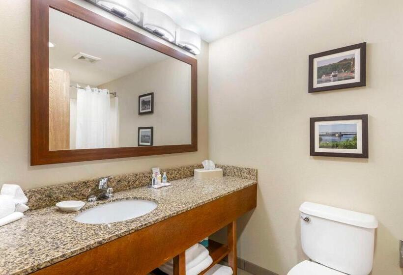 Люкс Кровать Кинг, Comfort Inn & Suites