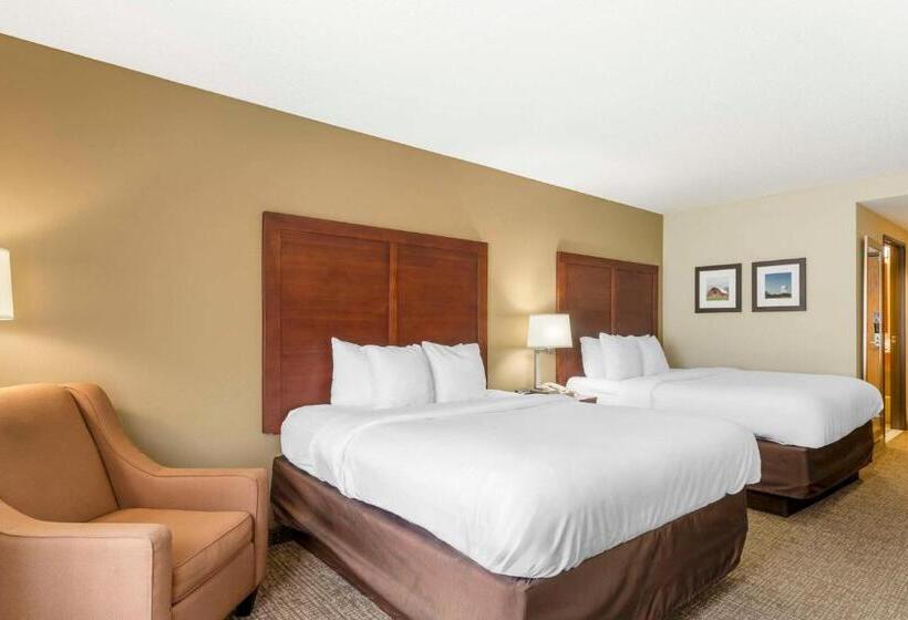 Люкс, Comfort Inn & Suites