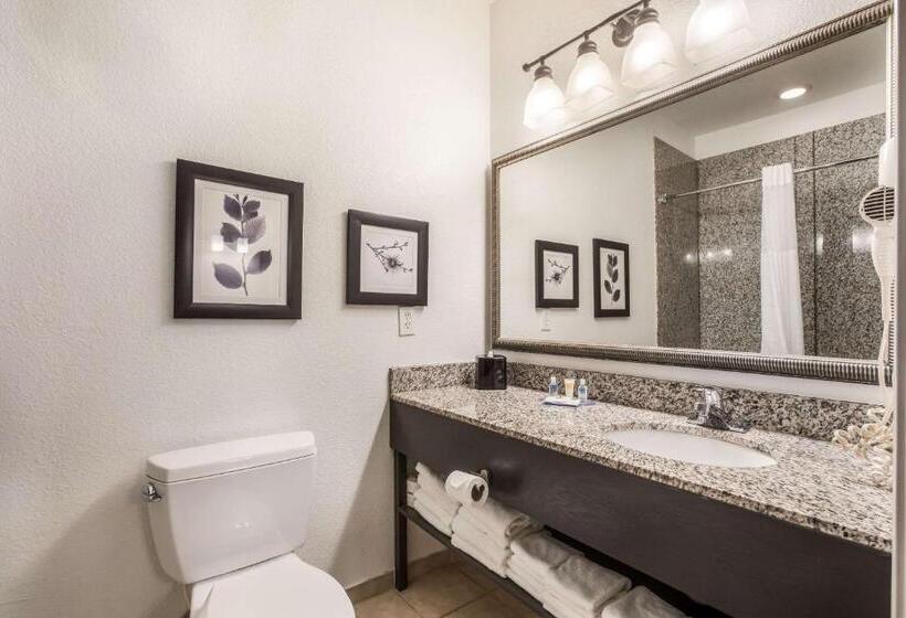 Номер Стандарт, Comfort Inn & Suites
