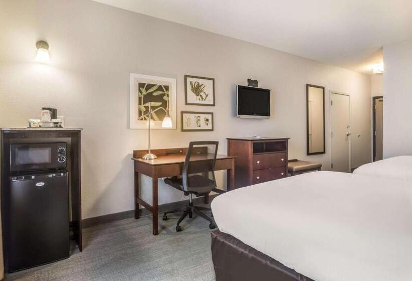 Номер Стандарт, Comfort Inn & Suites