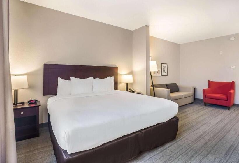 Люкс Кровать Кинг, Comfort Inn & Suites