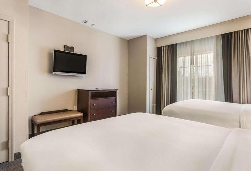 Люкс, Comfort Inn & Suites