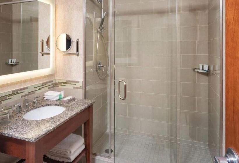 스탠다드 룸 킹사이즈 침대, The Westin Minneapolis