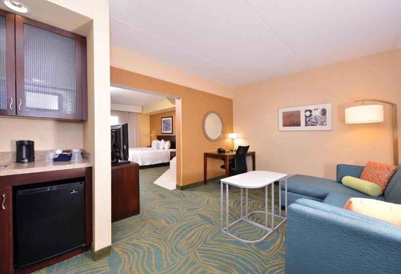 Студио Стандарт Кровать Кинг, Springhill Suites Arundel Mills Bwi Airport