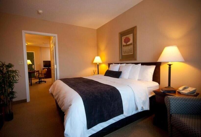 キングサイズベッドのスタンダードルーム, Town & Country Inn And Suites