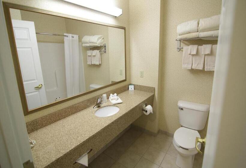 スタンダードルーム, Town & Country Inn And Suites