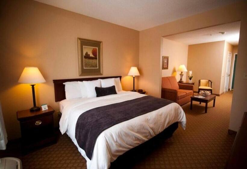 キングサイドベッドのスタンダードワンルーム, Town & Country Inn And Suites