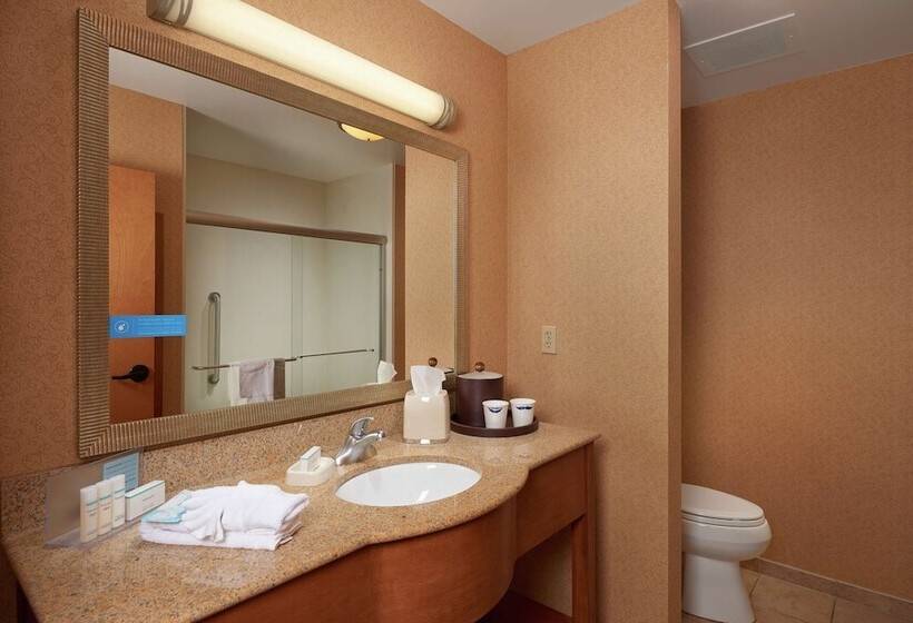 اتاق استاندارد با تخت بزرگ, Hampton Inn & Suites Canton