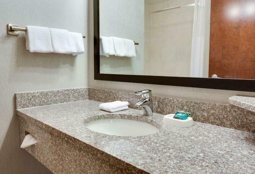 Номер Deluxe Кровать Кинг, Drury Inn & Suites Middletown Franklin