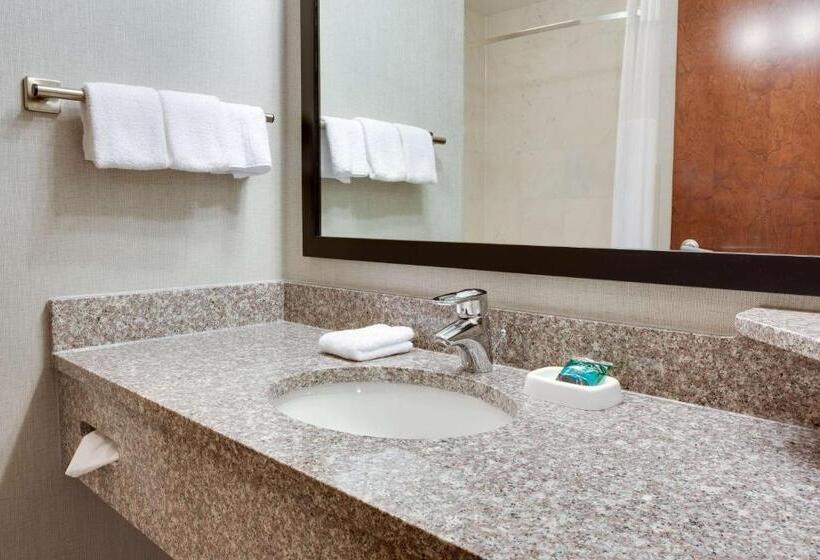 Стандартный Номер Кровать Кинг, Drury Inn & Suites Middletown Franklin