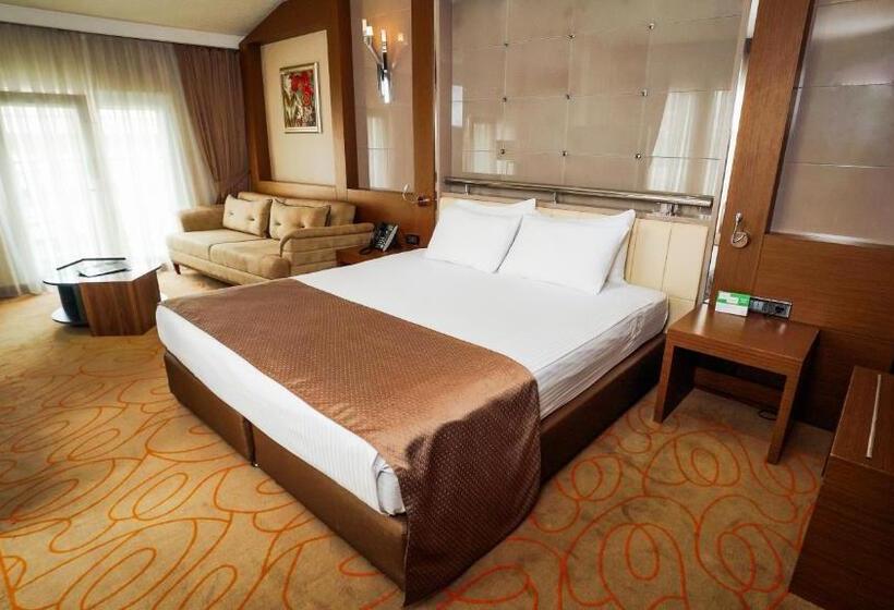 اتاق استاندارد با تخت بزرگ, Holiday Inn Ankara Kavaklidere, An Ihg