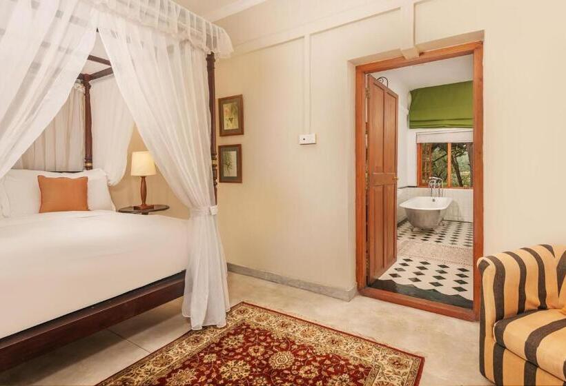 اتاق لوکس, Jetwing Warwick Gardens