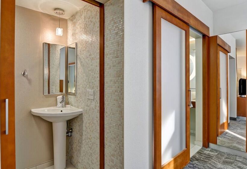 Студия Стандарт, Springhill Suites By Marriott Cincinnati Midtown
