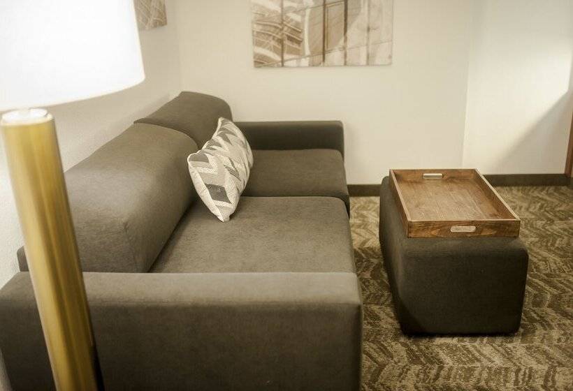 Студия Стандарт, Springhill Suites By Marriott Cincinnati Midtown