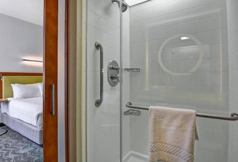 Студия Стандарт, Springhill Suites By Marriott Cincinnati Midtown